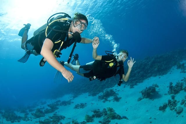 Diving Fujairah 